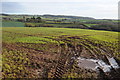 Winter cereals, Trelleck Grange