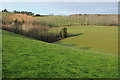 Farmland near Trelleck Grange