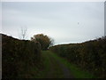 A green lane off Tilston Road