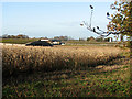 Pig houses at Breckland Farm, Feltwell