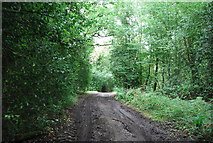 SU8329 : Sussex Border Path by N Chadwick
