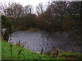 River Hodder near Lower Lees