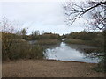 TL1962 : Cloudy Lake, Paxton Pits Nature Reserve by PAUL FARMER