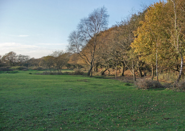 Grazing land and trees, Cwm Ffos