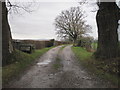 Driveway to Upper Walland Farm