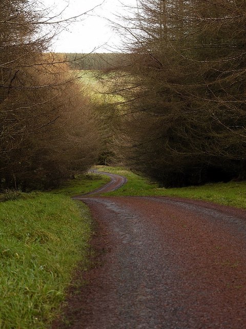Minor road east of Whitlees