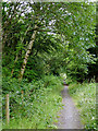 Dismantled railway south of Tynygraig, Ceredigion