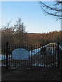 Trentabank Reservoir, Macclesfield Forest