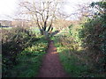 Path between Briar Close and rugby grounds