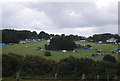 Camping in a field, Kingsdown