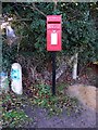 One Eyed Lane Postbox