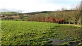 Farmland near Biggar