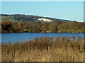 View towards the North Downs