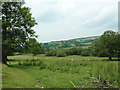 Pasture and hillside south of Tynygraig, Ceredigion