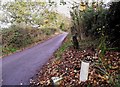 Braedsell Lane, near Crowhurst, East Sussex