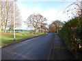 Farrar Lane - viewed from Raynel Drive