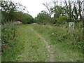 Conjure Alders footpath