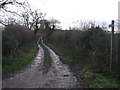 Track (bridleway) to Healaugh Priory