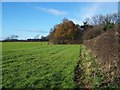 Footpath To Footherley