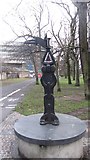 NT2572 : Millennium milepost by Richard Webb