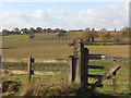 Fence and gate by Roundgreen Lane