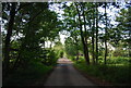 Track onto Prey Heath