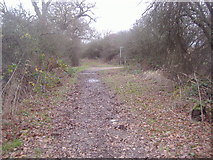 TQ2197 : Junction of Arkley Lane and path to Saffron Green by David Howard