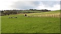 Fields above Biggar