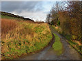 Stone Breaks Road