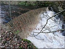 SE0023 : Weir downstream of New Bridge, Cragg Vale by Humphrey Bolton
