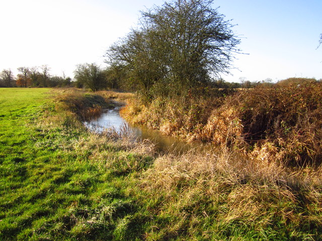 Alder Stream © Chris Mcauley :: Geograph Britain And Ireland