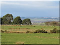 Farmland southwest of Trygill