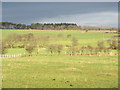 Farmland east of Comb Hills