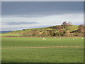 Farmland north of Woodnook Hill (2)