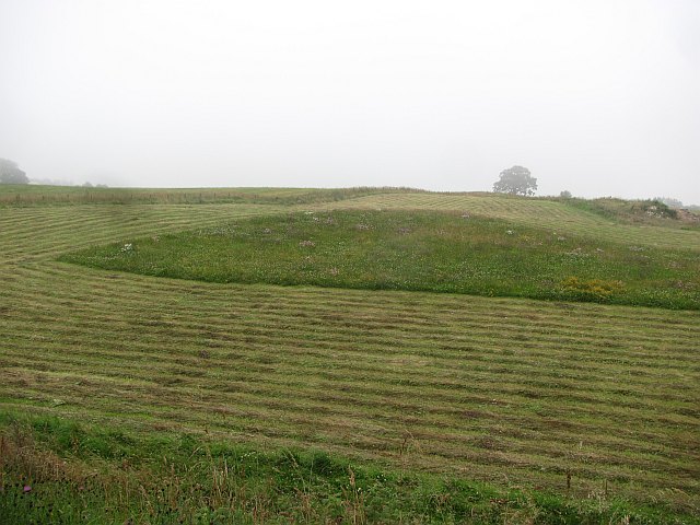 Hay meadow, Kinmundy