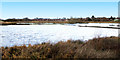 Doxey Marshes