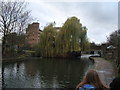 Weeping willows on the Regent