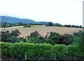 Farmland on the urban fringe of Newcastle