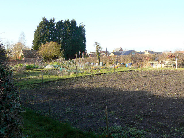 Allotments on East Road