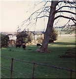 SO6468 : Newnham Farm by James Pratt