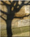 Cut bench mark, St Andrew