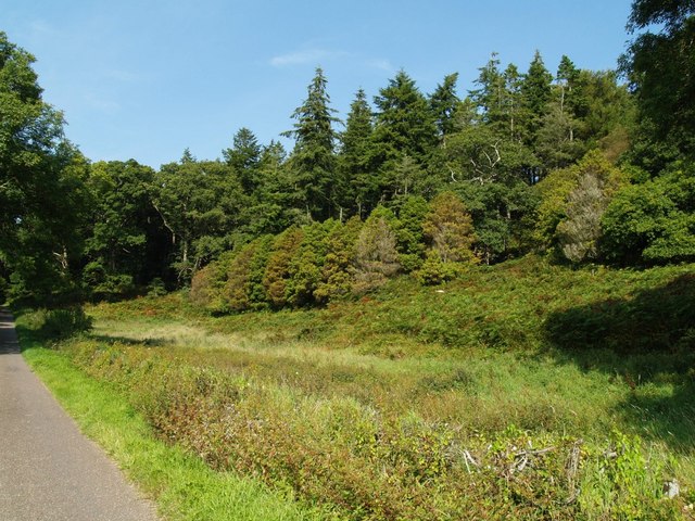 Craigheron Wood with rough pasture in foreground