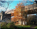 Bridge Over the Hogsmill