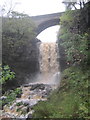 Ashgill Force