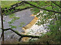 Waterfall, River South Tyne