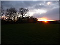 A winter field above Charlbury