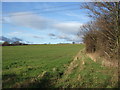 Footpath off Newmarket Lane