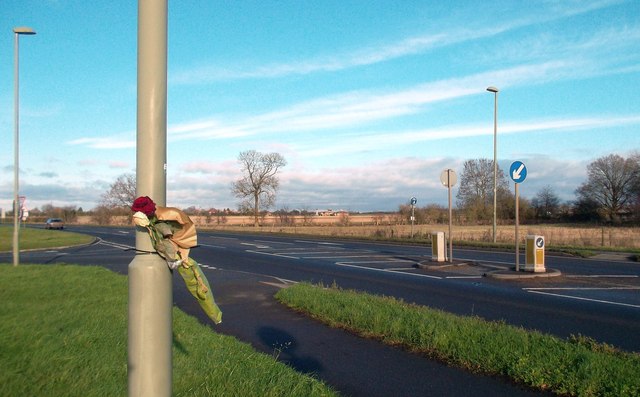 Rose on a Lamp Post, Preston Crowmarsh