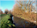 London Loop. Hogsmill River Park