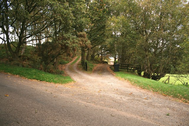 Lane junction near Bickerton